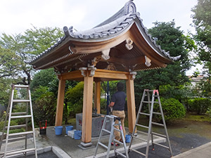 �i7�j�萅�ɊD�`�􂢍��