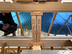 �i33�j���D��t��