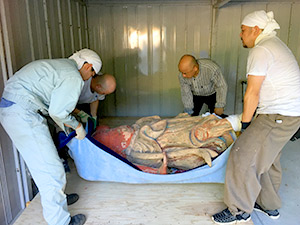 �i34�j�m�������C���̈׈��グ