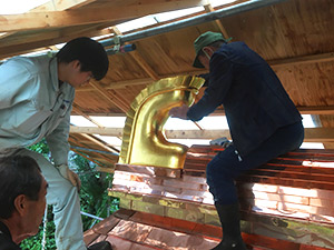 �i49�j���H�� 6�^������t��