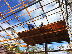 �i51�j�f�������