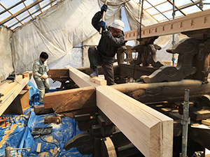 �i11�j�ی���t��