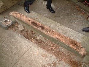 �i4�j�����n�����[��