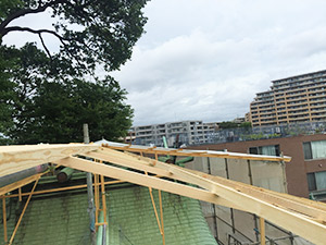 �i6�j�f�����˂�