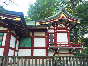 �i22�j�����ʐ^�i�{�a���ʁj