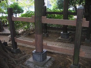 �i11�j�������i���p�����j