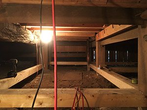 �i3�j������ �⋭