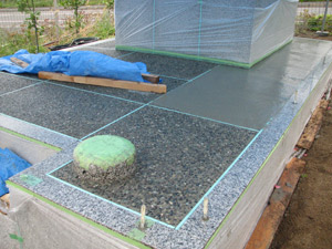 �i6�j�􂢏o�������H����