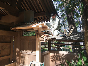 �i8�j�g���� 6