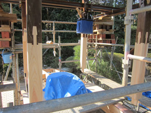 �i14�j���p�����؉��H����