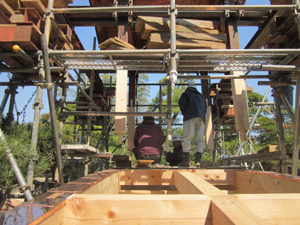 �i15�j���������W���b�L�_�E��