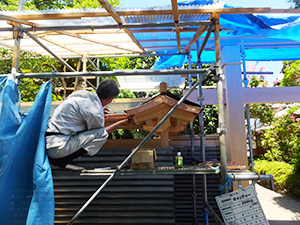 �i16�j������ 1