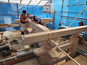 �i17�j������t��