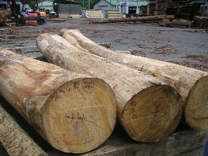 �i2�j�؍ޒ��B�i�ۑ���ԁj