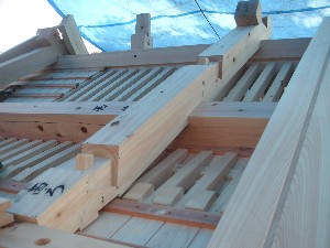 �i20�j��H�H���i�j�؎�t���j