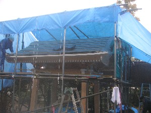 �i25�j�������V��t��