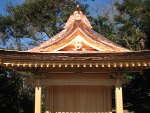 �i21�j�{�a�����i�쑤�j